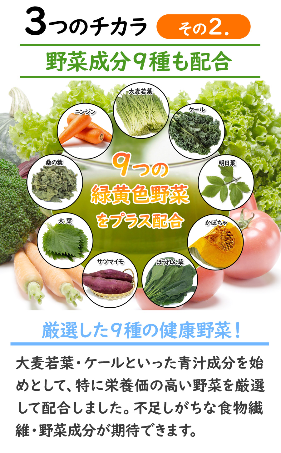 3つのチカラその2.野菜成分9種を配合 9つの緑黄色野菜をプラス配合 厳選した9種の健康野菜！